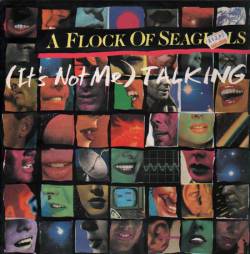 A Flock Of Seagulls : (It's Not Me) Talking